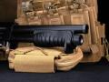 ASG Ashbore airsoft shotgun airsoftgevär