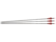 NXG Carbon Arrows 30" Spine 350 (3-pack) Piler