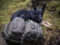 101INC Assault pack 35 liter OD