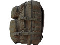 Assault Pack MOLLE 35 liter Grön