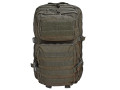 Assault Pack MOLLE 35 liter Grön