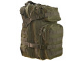 Militär Ryggsäck Assault Assault Pack 25L Grön