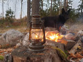 Feuerhand 276 Stormlykta Olivgrön fotogenlampa