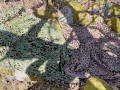 Camouflage net full roll – 78 x 2.4 m for forest environment camouflage nets