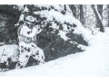 Camouflage wrap Snow/city camouflage