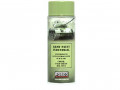 Fosco Spray paint Pale Green RAL 6021