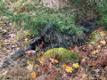 Ghillie suit Woodland