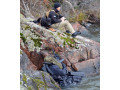 Net scarf Forest camouflage