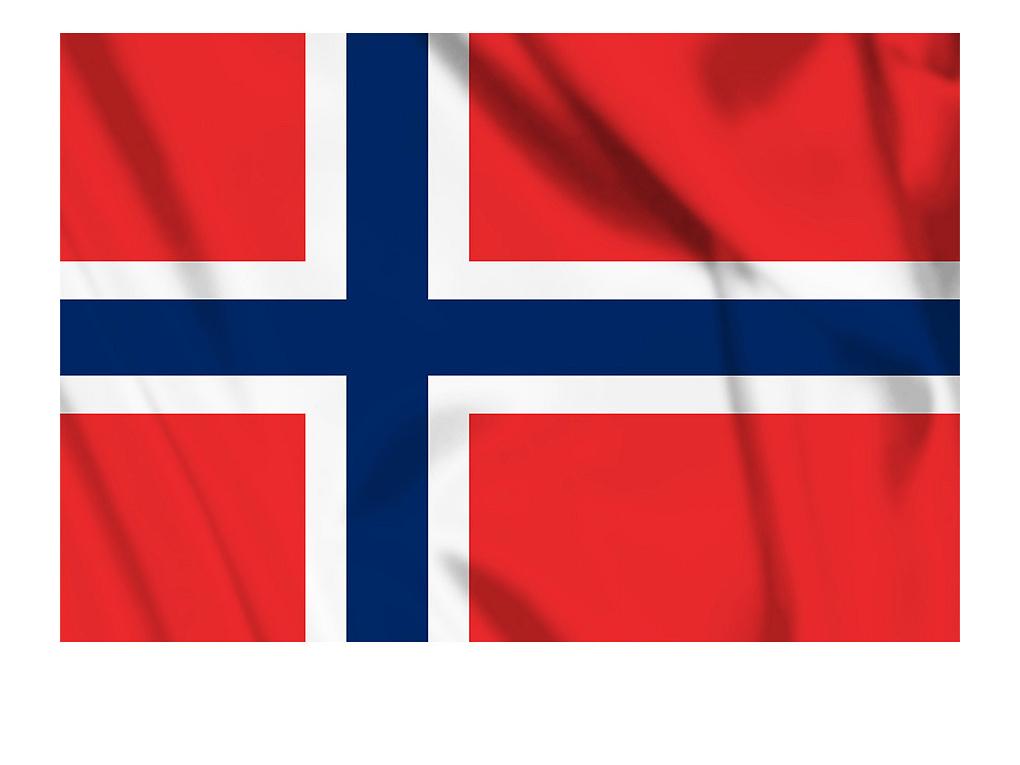 Product Image for Norges Flagg 1X1,5m