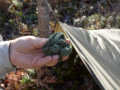 MFH Ultralight Merino Cap Green watchcaps