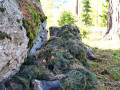 Ghillie suit Woodland