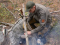 Mil-Tec Pro Softshell OD jackor