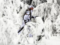 Prasselfri Membranjacka Wild Trees Winter jackor