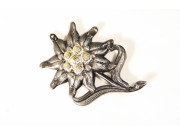 Bundeswehr Edelweiss märke