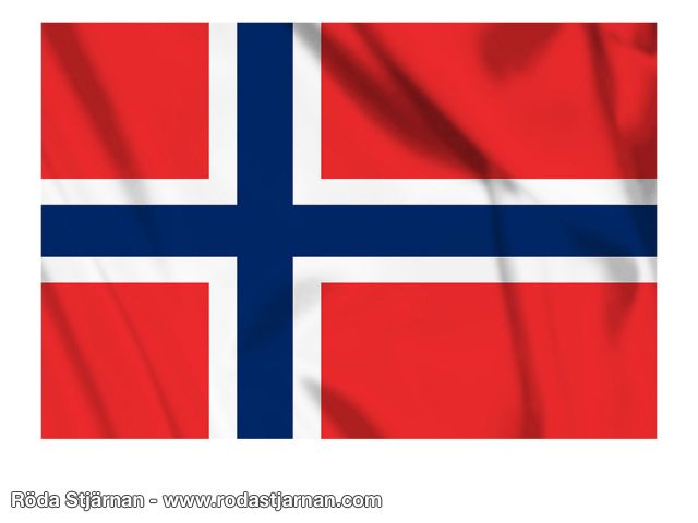 Norges Flagga 1X1,5m flaggor