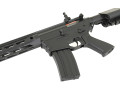 CYMA 518