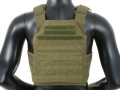 Buckle Up Assult Plate Carrier OD