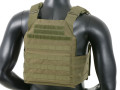 Buckle Up Assult Plate Carrier OD