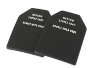SAPI Plate dummy