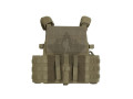 Warrior DCS DA 5.56mm Ranger Green stridsvästar
