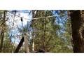 Bushmen PRO whoopie slings hammock och hängmatta