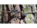 Bushmen Ultralight Spännlinor svart 6-pack hammock och hängmatta