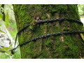Bushmen Zen hammock grön 3,3 m hammock och hängmatta