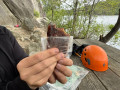 Food Force Energibar Bär friluftsmat och snacks