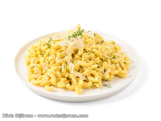 Food Force pasta med ostsås frystorkad vegetarisk friluftsmat och snacks