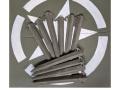 Orginal US Army stora tältpinnar 10-pack tält