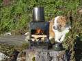 Rocket Stove Mini