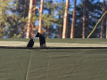  tarps og vindbeskyttelse