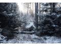 DD Tarp 3x3 vinter MC tarps og vindbeskyttelse
