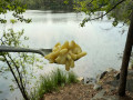 Food Force pasta med ostesaus frysetørket vegetarisk turmat