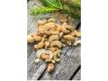 Food Force Ristede og saltede cashewnøtter 50g turmat