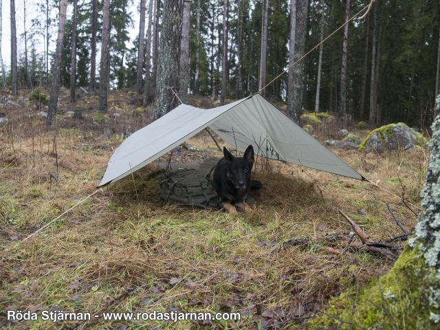 MFH Tarp Ultralett 2X3M tarps og vindbeskyttelse