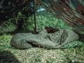 MFH Tarp Ultralett 2X3M Woodland tarps og vindbeskyttelse