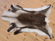 Reindeer Deluxe silikonbehandlet
