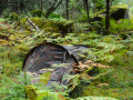 Tunneltält Schwarzenberg Enmanstält Flecktarn