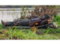  sleeping pads