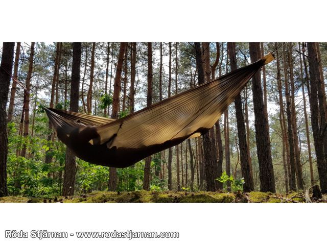  hammock