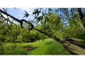 Bushmen Zen hammock green 3 m hammock