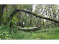 Bushmen Zen hammock green 3.3 m hammock