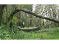  hammock
