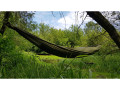  hammock