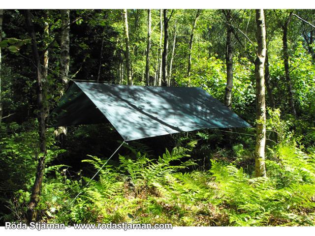 Buy DD Tarp 3x3 Forest Green – waterproof tarp for outdoor life