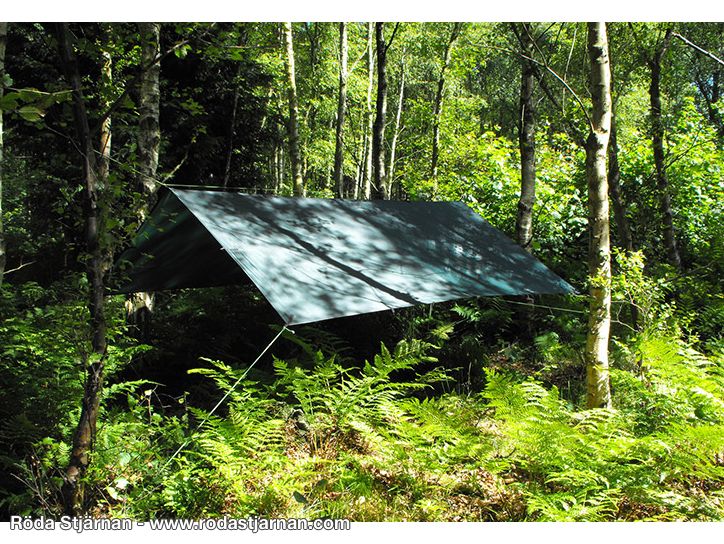 Buy DD Tarp 3x3 Olive green