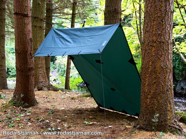 Buy DD Tarp S 2.8X1.5 Olive green
