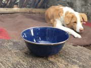 Enamel bowl Blue Stainless rim