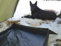 Place mat with edge tarps and wind protection